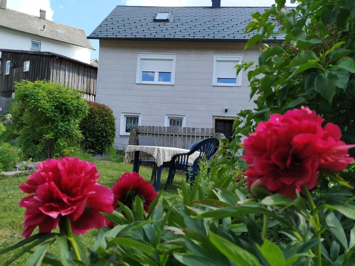 Idyllisches Ferienhaus Im Fichtelgebirge Villa Nagel Buitenkant foto