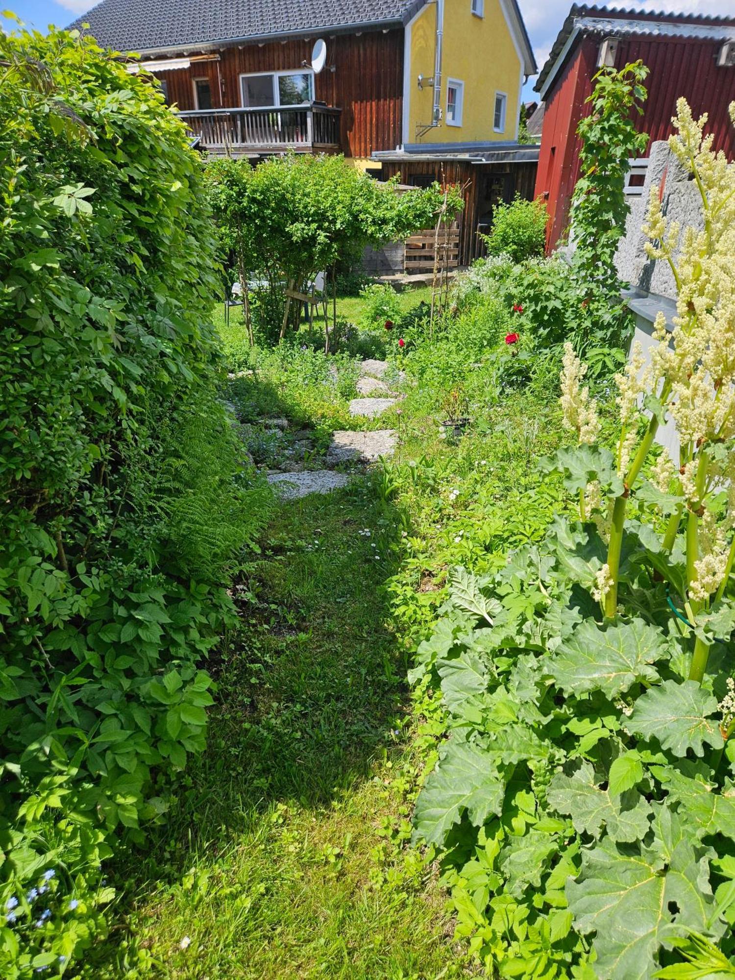 Idyllisches Ferienhaus Im Fichtelgebirge Villa Nagel Buitenkant foto